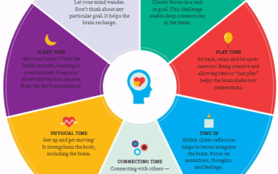 The Healthy Mind Platter, for Optimal Brain Matter